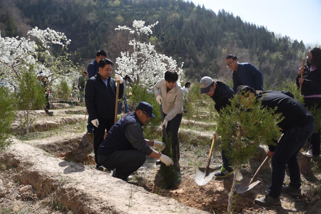 省委黨校（甘肅行政學院）開展2024年義務植樹活動